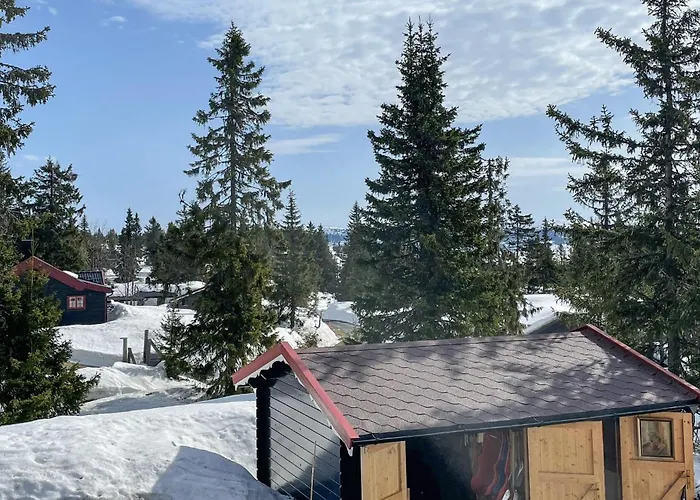 3 Bedroom Stunning In *